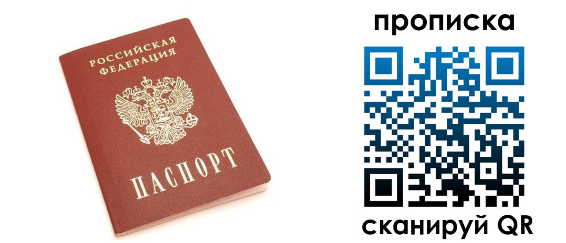 прописка в квартире в Оленегорске